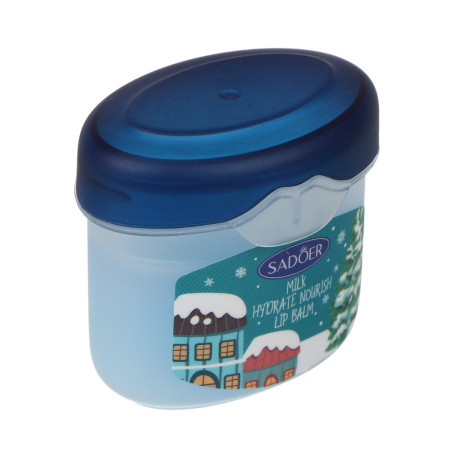 Набор увлажняющих бальзамов для губ, 4 шт х 7 гр, тм SADOER Merry Xmas, подар.уп.