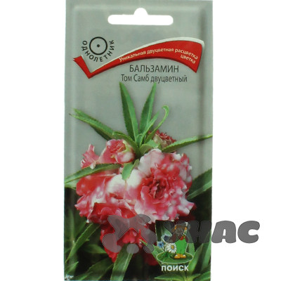 Бальзамин Том Самб двуцветный Поиск Ц