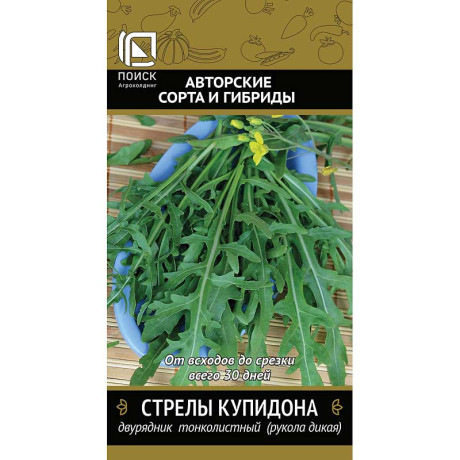 Двурядник Стрелы Купидона тонколистный Поиск Ц