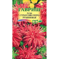 Астра Страусово перо рубиновая Гавриш Ц