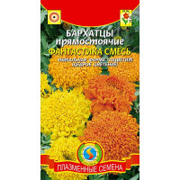 Бархатцы Фантастика смесь Плазма Ц