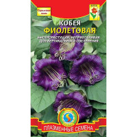 Кобея фиолетовая Плазма Ц