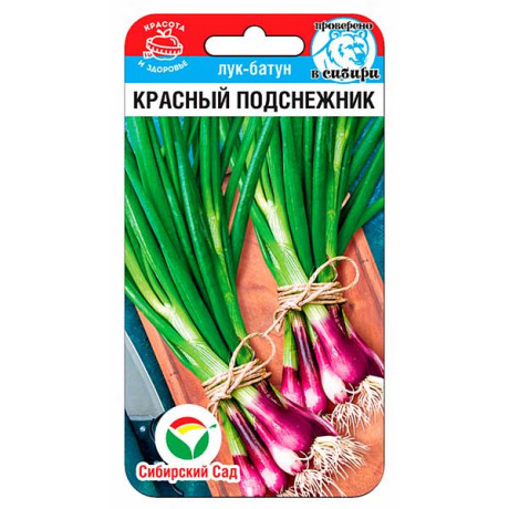 Лук батун Красный подснежник СибСад Ц