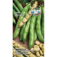 Бобы Оптика Седек Ц