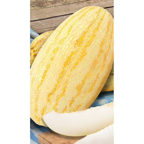 Дыня Торпеда 10шт Садовита Ц