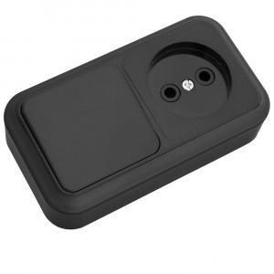 Bylectrica ПРАЛЕСКА Блок (1 выкл. + роз) ОУ черный, (В-РЦ-521 черный)