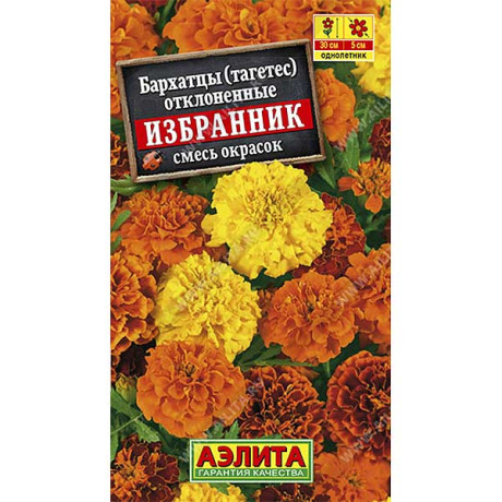 Бархатцы Избранник Аэлита Ц