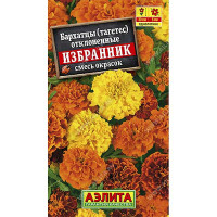 Бархатцы Избранник Аэлита Ц