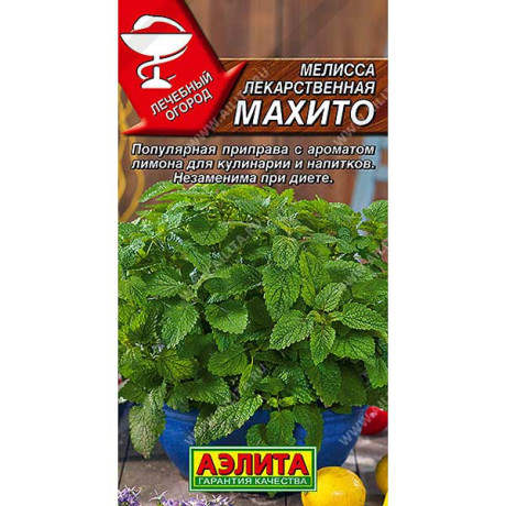 Мелисса Махито Аэлита Ц x10