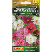 Космея Махровые ромашки Аэлита Ц