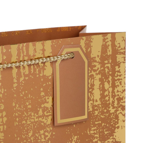 Пакет тм Fntastic подарочный, с шильдиком, L 32x26x10см, тиснение, бумага, арт.11, 4 дизайна