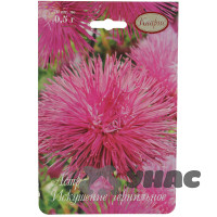 К Астра Искушение чернильная Каприс