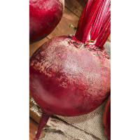 Свекла Фалькон F1 1г Sakata/Садовита Ц