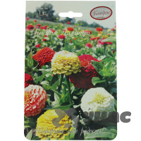 К Циния Лилипут смесь Каприс