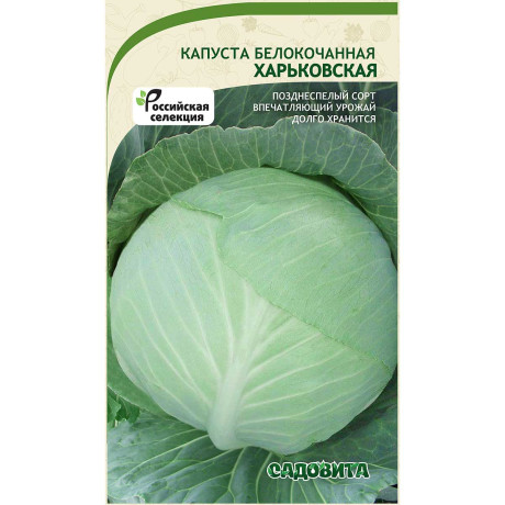 Капуста Харьковская зимняя белокочанная 0,5 гр Садовита Ц