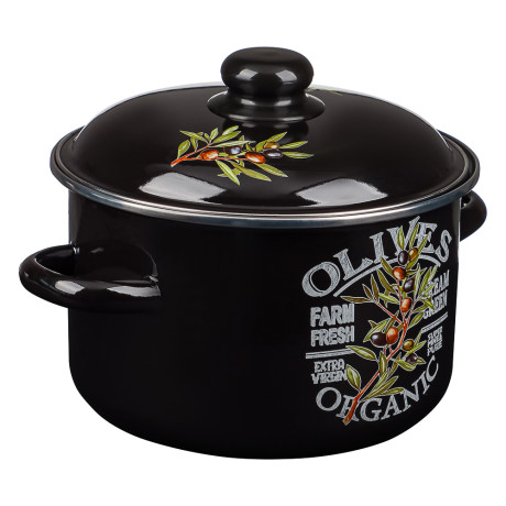 Ветка оливы Кастрюля эмалированная 4л