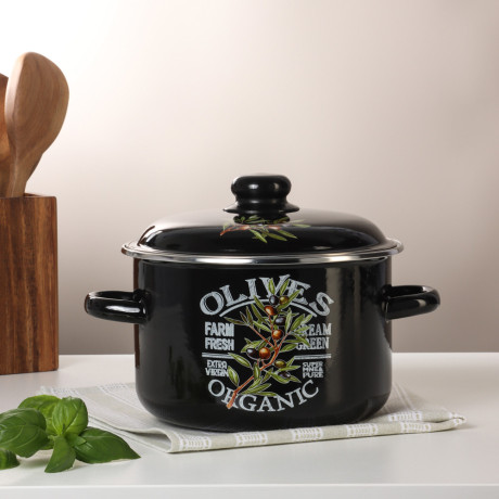 Ветка оливы Кастрюля эмалированная 4л