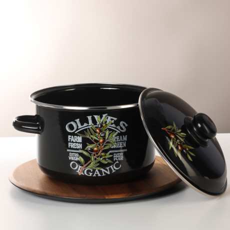 Ветка оливы Кастрюля эмалированная 4л