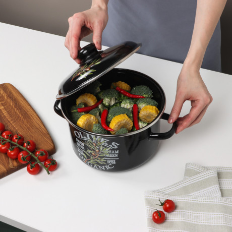 Ветка оливы Кастрюля эмалированная 4л