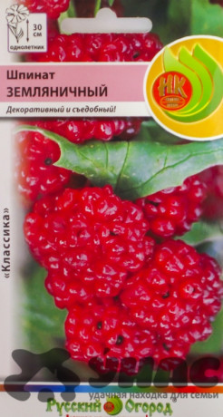 Шпинат земляничный НК Ц