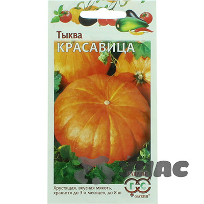 Тыква Красавица  Гавриш Ц