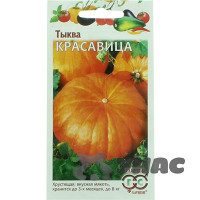 Тыква Красавица  Гавриш Ц
