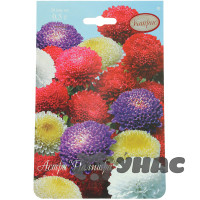 К Астра Палитра Помпонная смесь Каприс