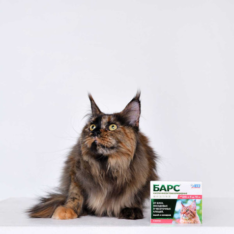 Барс Капли инсектоакарицидные для кошек от 5 кг до 10 кг (2 пипетки по 0,5 мл)