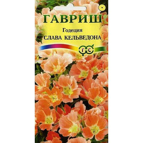 Годеция Слава Кельведона Гавриш Ц