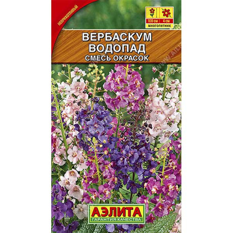 Вербаскум Водопад смесь Аэлита Ц