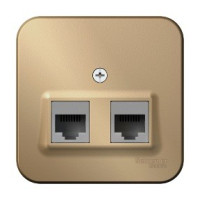 Systeme Electric BLANCA роз. комп. ОУ 2 мест. титан(пл.осн., RJ45, кат.5E, изол.пл.) BLNIA045454(5!)
