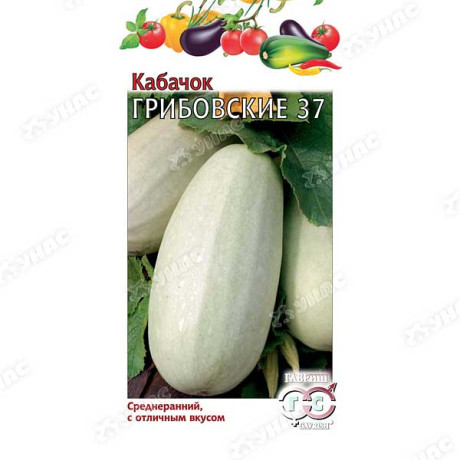 Кабачок Грибовские Гавриш Ц
