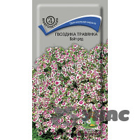 Гвоздика травянка Вайт-Ред Поиск Ц