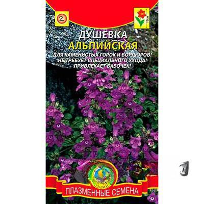 Душевка Альпийская Плазма Ц х10