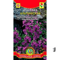 Душевка Альпийская Плазма Ц х10