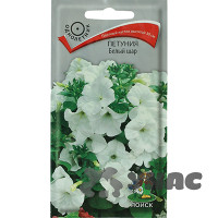 Петуния Белый шар Поиск Ц