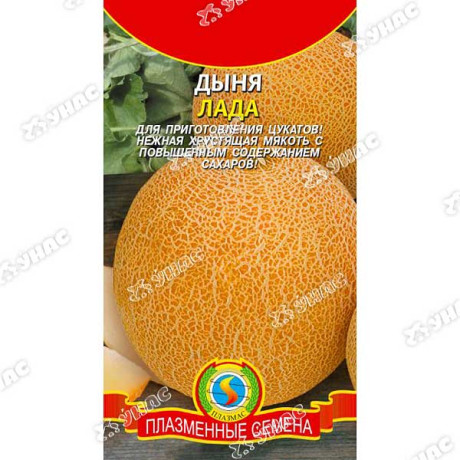 Дыня Лада Плазма Ц