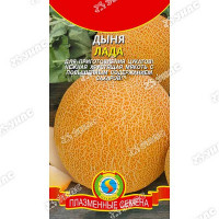 Дыня Лада Плазма Ц
