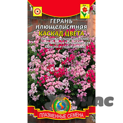 КОМ Герань Каскад Цвета Плазма Ц