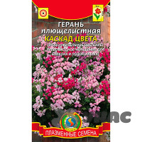 КОМ Герань Каскад Цвета Плазма Ц