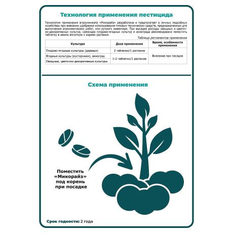 Микорайз 1табл (гриб) стимул.развит. х50