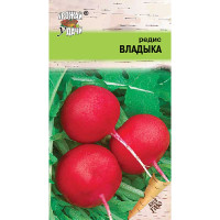 Редис Владыка Урожай у дачи Ц