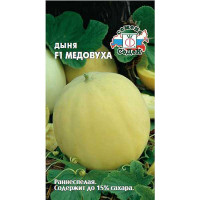 Дыня Медовуха Седек Ц