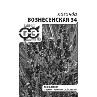 Лаванда Вознесенская евр.отв. Гавриш Б