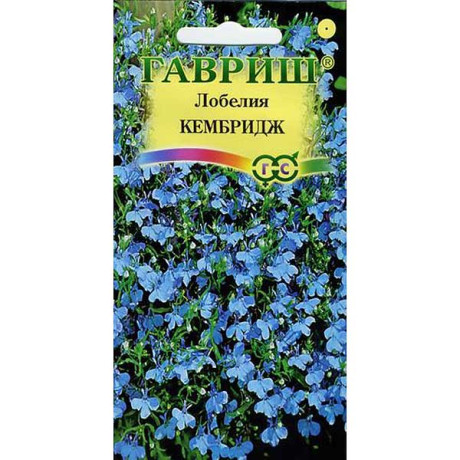 Лобелия Кембридж  Гавриш Ц