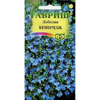Лобелия Кембридж Гавриш Ц