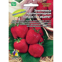 Земляника Гордость сибири Марс Ц