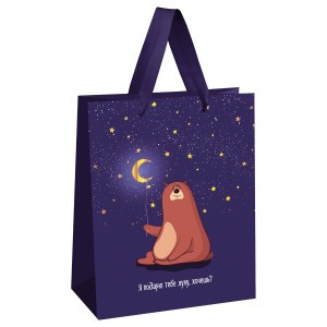 Пакет подарочный 18*23*10см MESHU"Я подарю тебе луну",отд. фольгой,выбор.лак, матов.ламинация 354612