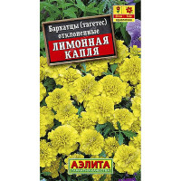 Бархатцы Лимонная капля Аэлита Ц