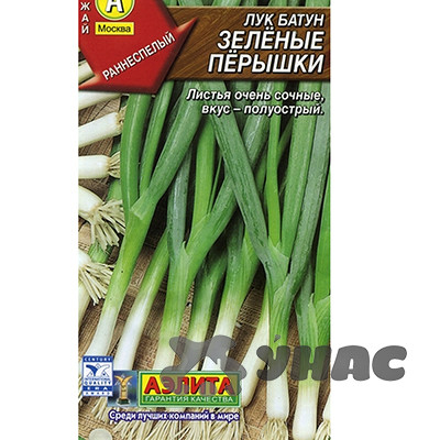 Лук батун Зеленые перышки Аэлита Ц